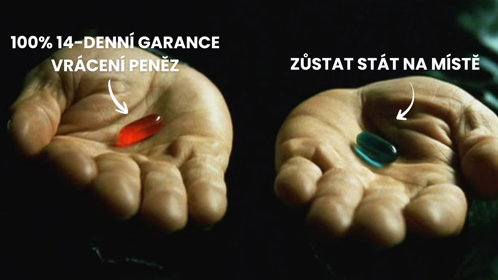 Red Pill garance: 14 dní bez rizika nebo modrá pilulka – zůstat stát na místě